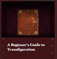 beginners-guide-transfiguration